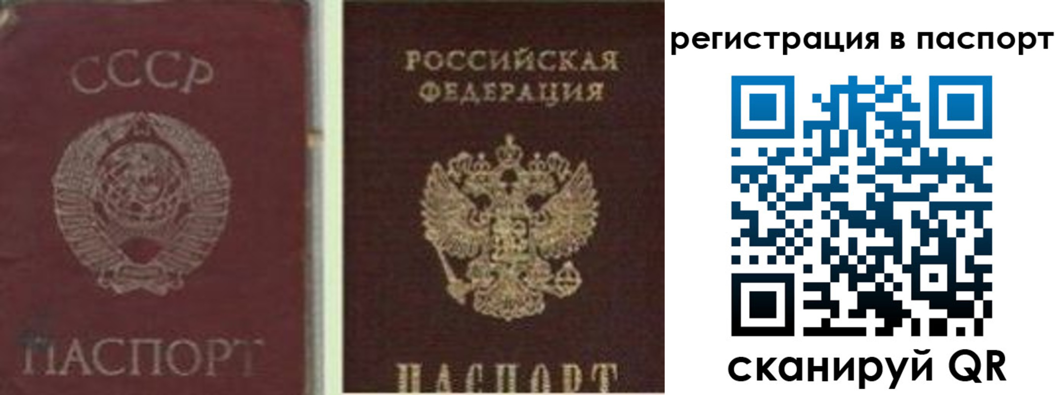 прописка для работы в Зверево